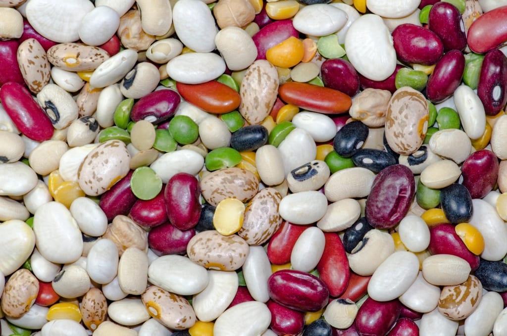 Assorted dried beans