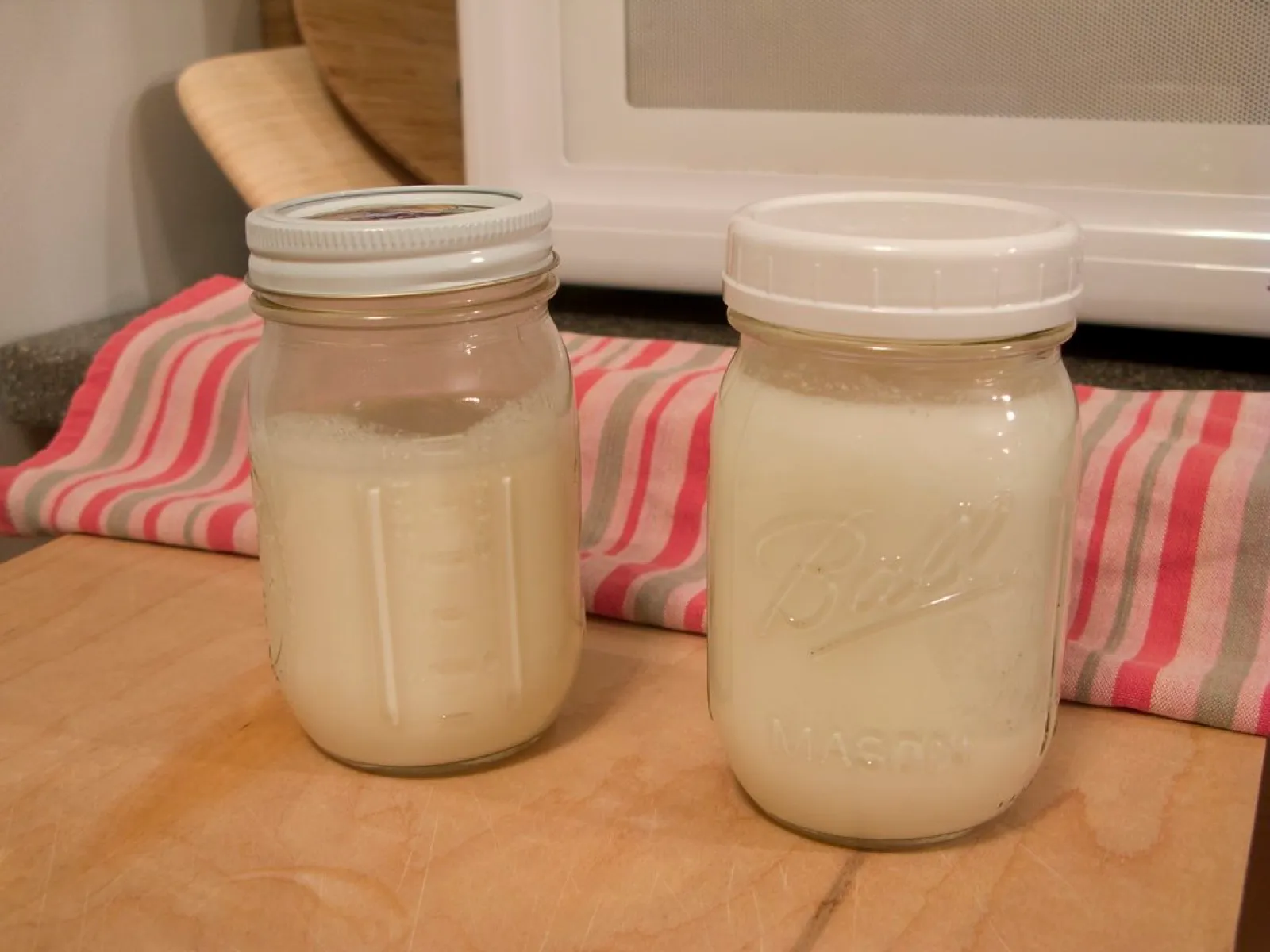 Yogurt and fermented foods