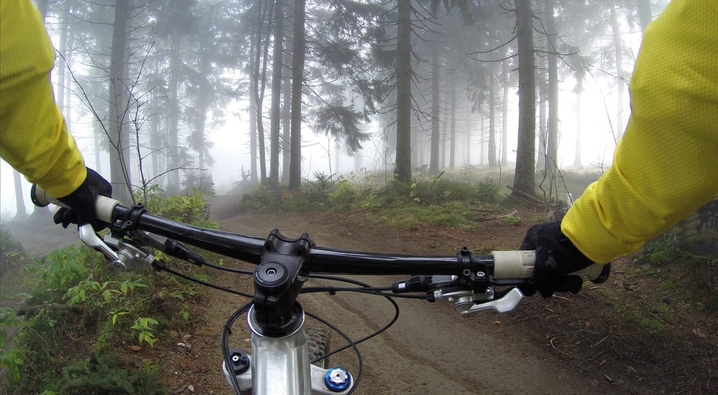 A cyclist on a misty forest road