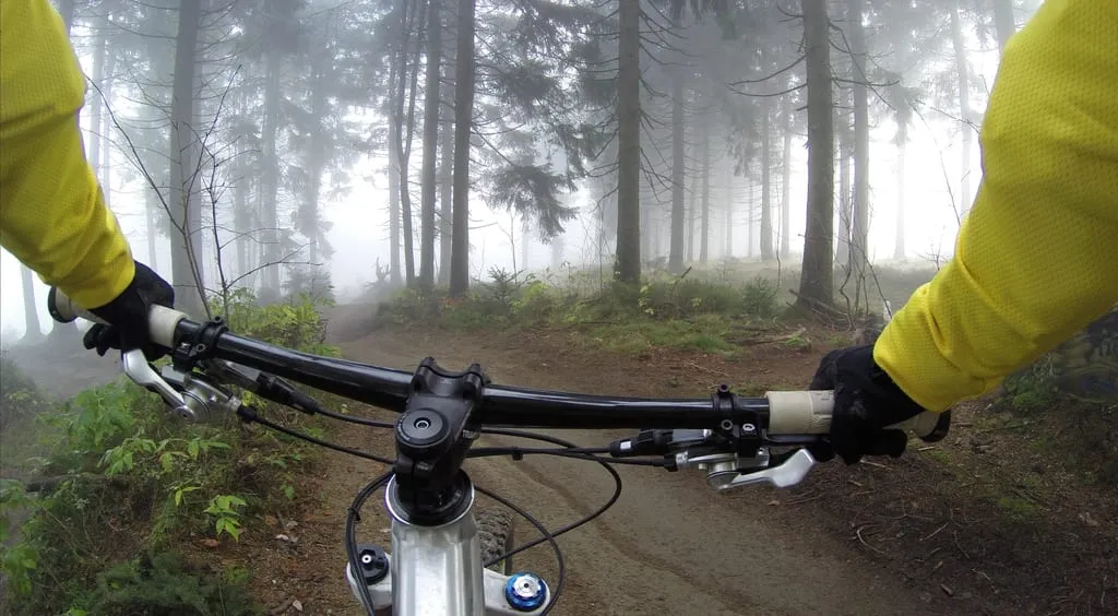 A cyclist on a misty forest road